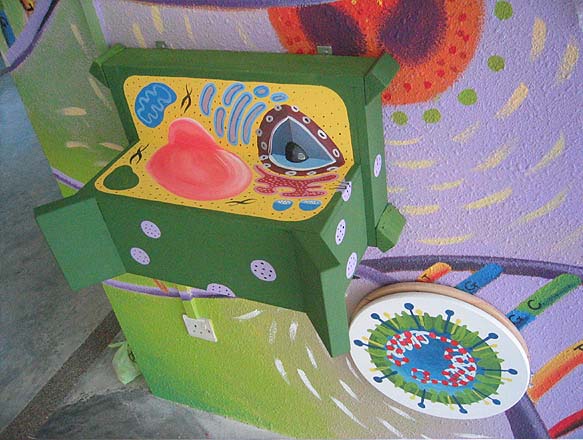 plant cell and animal cell. make Plant+cell+model+3d